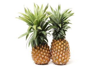 Fototapeta premium Pineapple on a white background