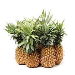 Fototapeta premium Pineapple on a white background