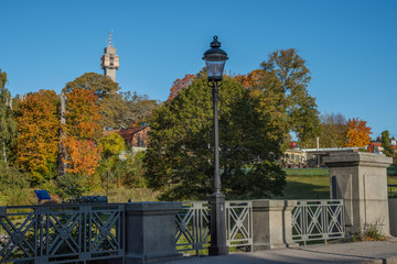 Autumn colour full landscape in Stockholm