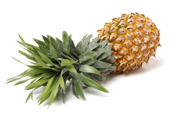 Pineapple on a white background