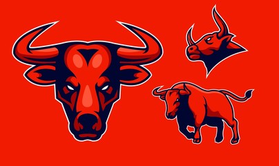 bulls logo sport on vector
