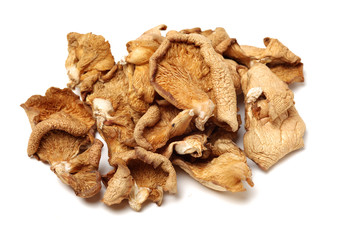 Dry mushrooms on white background