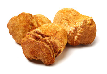 Hericium erinaceus on white background © zcy