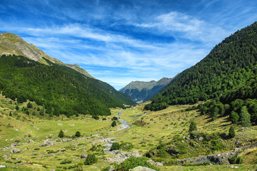 Fototapeta na wymiar view of the valley Ossau in the french Pyrenees mountains