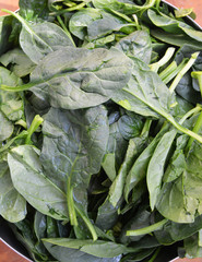 organic and fresh spinach on the table