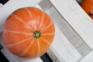 Ripe orange pumpkins. They lie on different surfaces.