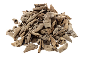 black fungus on white background