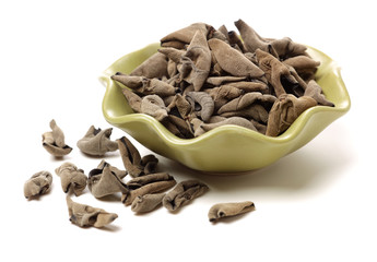 black fungus on white background