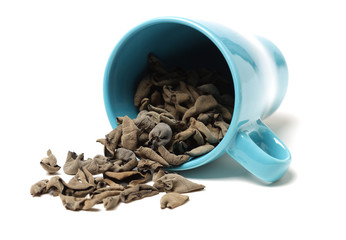 black fungus on white background