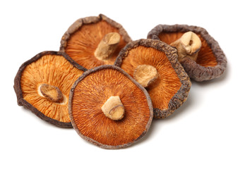 Dry Shiitake Mushroom on white background
