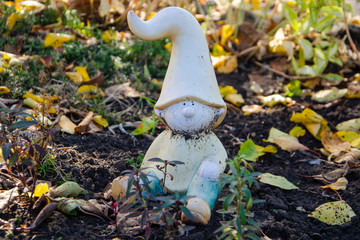 Garden gnome in an autumn garden in foliage