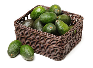 Avocado on a white background