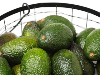 Avocado on a white background