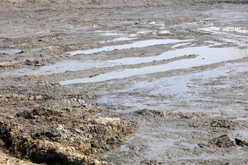 Muddy land