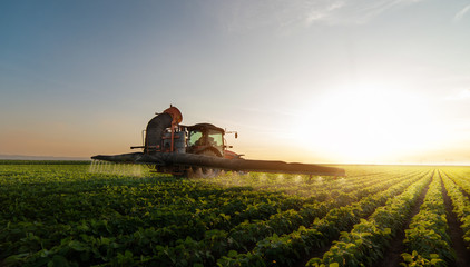 Naklejka premium Tractor spraying soybean field in sunset