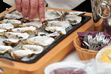 Catering Buffet Austern Partyservice