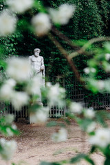 une statue grecque de Zeus dans les jardins de Versailles avec un arbuste en fleurs au premier plan