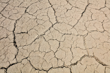 Arid cracked land
