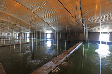 Mariculture pond in China