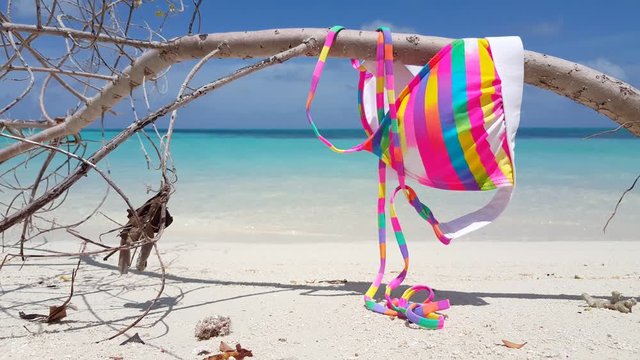 topless sunbathing concept. Top of bikini thrown on dried tree branch on tropical beach with white sand and azure sea