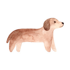 Hand drawn watercolor dog. Painted Illustration isolated on white background.