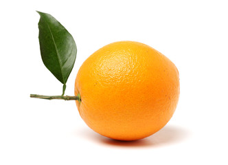 Orange fruit on the white background
