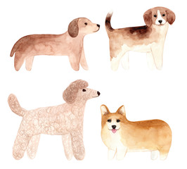 Hand drawn watercolor dogs set. Painted collection Illustration isolated on white background.