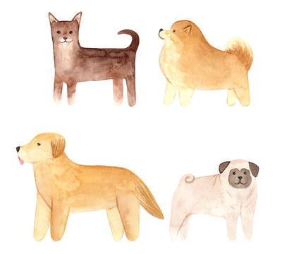 Hand drawn watercolor dogs set. Painted collection Illustration isolated on white background.