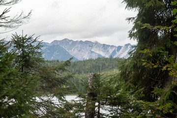 View to the Eibsee between trees and shrubs