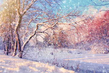 Beautiful winter scenery in Germany with snowfall.