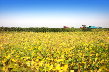Agricultural machines in a soy field in a bright sunny summer day.