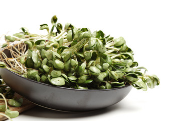Black bean sprouts on white background