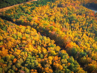 Aerial landscape of the forest in colors of autumn, Poland