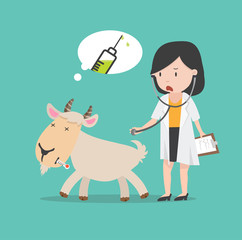 Sick goat Swine Flu with the doctor a vaccination