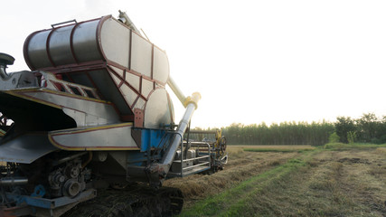 Combine harvesters work in the rice field