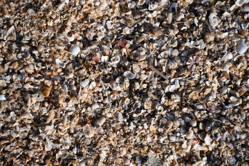 pebbles on the beach