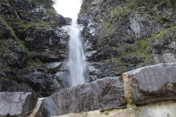Fototapeta na wymiar Cascate Ru Col Aut (waterfall,nature,water,falls,natural,cascade,mountain,natura,acqua,montagna)
