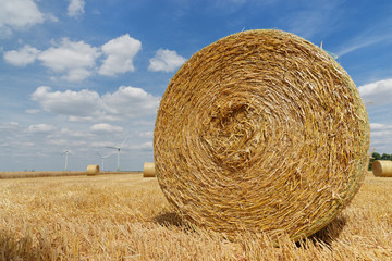 Rundballen aus Stroh liegen auf einem abgeernteten Getreidefeld
