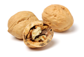 walnuts on white background 