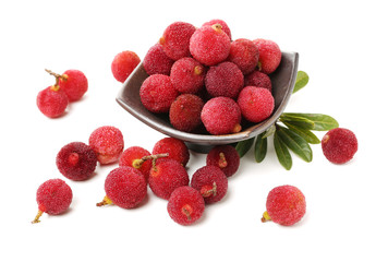 arbutus on a white background