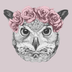 Portrait of Owl with floral head wreath. Hand-drawn illustration of dog. Vector isolated elements.