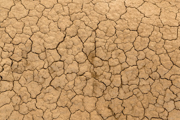 Clay sandy earth parched and cracked