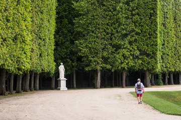 Une allée des jardins du château de Versailles. Un touriste, une statue et des arbres dans les jardins du château de Versailles.