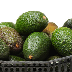 Avocado on a white background