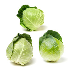 Fototapeta premium Green cabbage isolated on white background