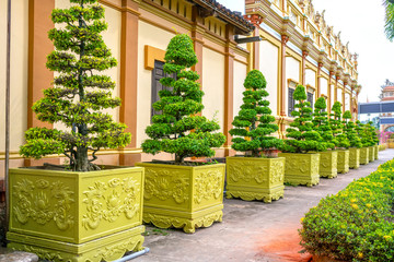 Fototapeta na wymiar Bonsai trees in Vinh Trang Temple are a Buddhist temple near My Tho in the Mekong Delta region of southern Vietnam.