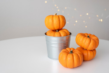 Decorative composition of mini pumpkins on a white background.
