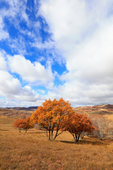 sights of the Ulan prairie in Inner Mongolia, China