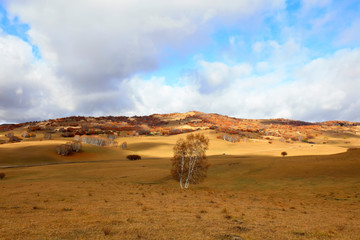 Fototapeta na wymiar sights of the Ulan prairie in Inner Mongolia, China