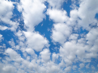 Obraz premium 東京の青空と雲